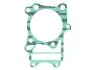 Ущільнення основи циліндра ((EN) OE thickness) KAWASAKI VN 800 1995-2006 ATHENA (S410250006159) зображення 1