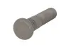 Болт колеса M22x1,5 x95мм MERITOR LM, TE AUGER (75344) зображення 1