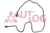 Паливний шланг RENAULT KANGOO EXPRESS, KANGOO II 03.19 AUTLOG (KL3232) зображення 1
