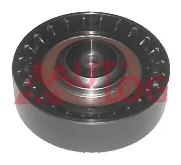 Фото Ролик генератора VW LT/T4 2.5TDI (паразитний) AUTLOG (RT1048) зображення 1