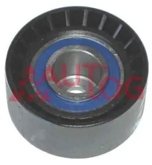 Ролик ГРМ Ford Mondeo 1.6/1.8/2.0 -00 (паразитний) (60х28.5) AUTLOG RT1257 Купити в Україні