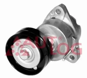Фото Натяжник ременя генератора Chevrolet Lacetti/Opel Combo/Astra 1.4-1.8 91- AUTLOG (RT1376) зображення 1