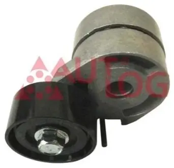 Фото Натяжник ременя генератора Citroen Berlingo/Peugeot Partner 1.6HDi 06- (53x25) AUTLOG (RT1393) зображення 1