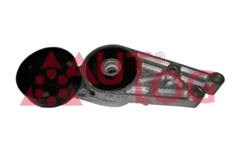 Ролик натяжной ГРМ 1.6/1.8T/2.0 TFSI A4/A6/Passat AUTLOG RT1830 Купить в Украине