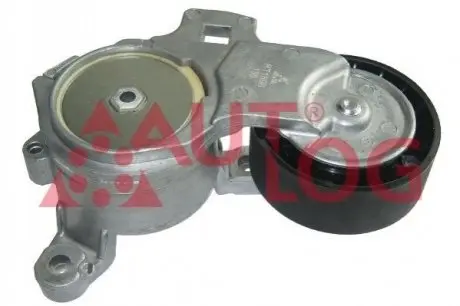 Шків генератора AUTLOG RT1898 Купити в Україні