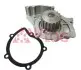 Помпа води Citroen C4-C8/Jumpy 2.0-2.2HDi/Fiat Scudo 2.0D/Ford Focus 2.0TDCI 01- (19z) WP7032