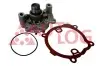 Фото Помпа води Renault Master/Trafic/Laguna/Opel Vivaro/Movano/Nissan 2.2dCi/2.5dCi 00- (B/B)(8лоп) AUTLOG (WP7058) зображення 1