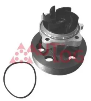 Помпа води Fiat Doblo 1.3D/JTD/Opel Combo/Astra H/J/Corsa C/D 1.3CDTI 05-/Chevrolet Aveo 1.3D 11 AUTLOG WP7064 Купити в Україні