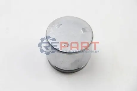 Поршень гальмівного супорта AUTOFREN D025239 Купити в Україні