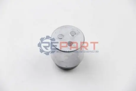 Поршень гальмівного супорта AUTOFREN D025269 Купити в Україні