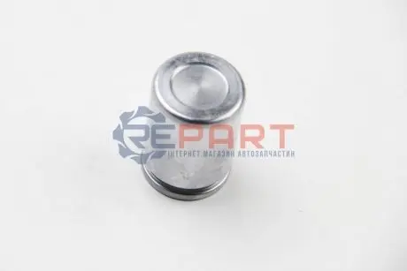 Поршень гальмівного супорта AUTOFREN D025302 Купити в Україні