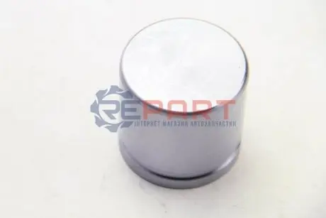 Поршень гальмівного супорта AUTOFREN D025362 Купити в Україні