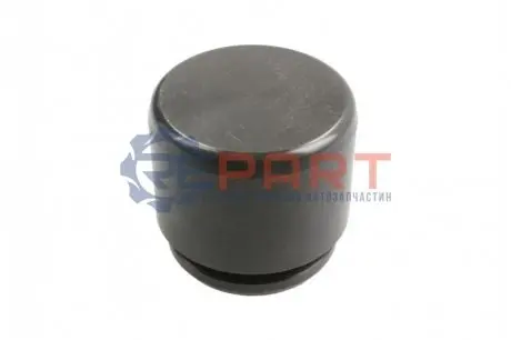 Поршень гальмівного супорта AUTOFREN D025367 Купити в Україні