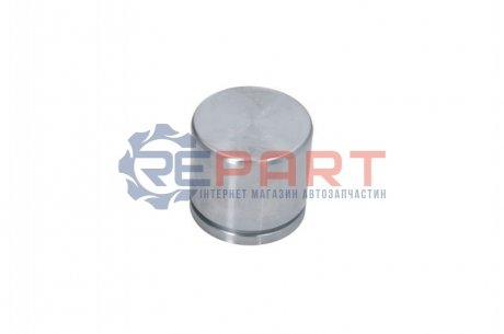 Поршень цилиндра суппорта - AUTOFREN D025452