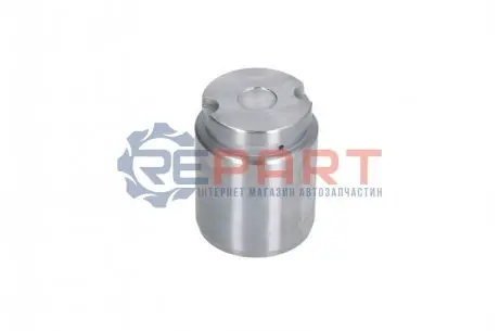 Фото 1 — Поршень гальмівного супорта AUTOFREN (D025545) Фото Поршень гальмівного супорта AUTOFREN (D025545) зображення 1