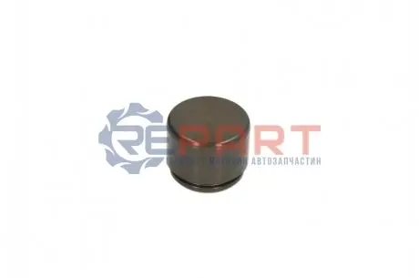 Фото 1 — Поршень гальмівного супорта AUTOFREN (D025607) Фото Поршень гальмівного супорта AUTOFREN (D025607) зображення 1