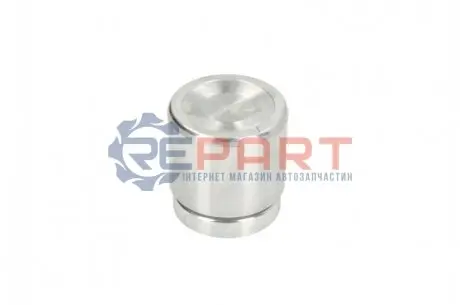 Поршень цилиндра суппорта AUTOFREN D025609