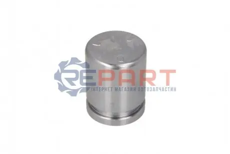 Фото Поршень гальмівного супорта AUTOFREN (D025636) зображення 1