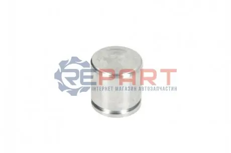 Фото Поршень цилиндра суппорта AUTOFREN (D025663) изображение 1