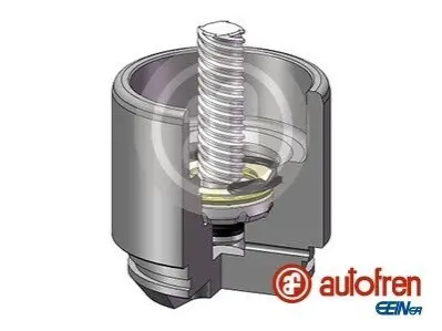 Фото Поршень гальмівного супорта AUTOFREN (D025691LK) зображення 1