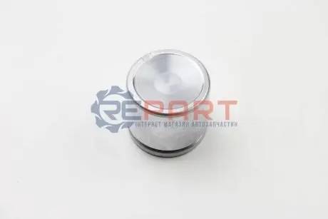 Фото Поршень гальмівного супорта AUTOFREN (D02579) зображення 1