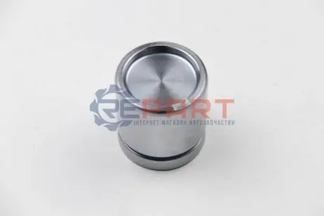 Фото Поршень гальмівного супорта AUTOFREN (D02581) зображення 1