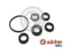 РЕМКОМПЛЕКТ ИГЛ. тормоз. ЦИЛИНДРА BMW E28 d22.2mm AUTOFREN (D1166) изображение 1