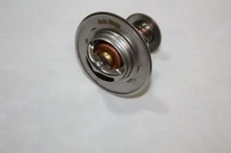 Фото Термостат AUTOMEGA (160028210) зображення 1