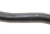 Фото Патрубок радіатора (нижній) Audi A3/Skoda Octavia/VW Caddy/Passat/Touran 1.6/2.0 03-15 AUTOTECHTEILE (3121047) зображення 2