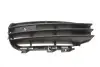Фото Решітка бампера VW Touareg 11-14 (L) AUTOTECHTEILE (385 4001) зображення 1