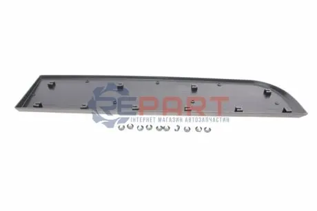 Молдинг дверей (задних/R) Opel Movano/Renault Master 10- AUTOTECHTEILE 505 1457