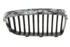 Фото Решітка радіатора BMW 5 (F10) 13-16 (L) AUTOTECHTEILE (700 0308) зображення 2