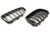 Фото Решітка радіатора BMW 5 (F10) 09-16 (к-кт) AUTOTECHTEILE (700 0326) зображення 1