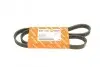 Фото Ремінь генератора Renault Kangoo 1.5 dCi (5PK1135) AUTOTECHTEILE (905 1135) зображення 1