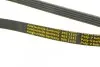 Фото Ремінь генератора Renault Kangoo 1.5 dCi (5PK1135) AUTOTECHTEILE (905 1135) зображення 4