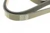 Фото Ремінь генератора Citroen Berlingo 1.9D 98- AUTOTECHTEILE (9061390) зображення 3