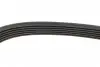 Фото Ремінь генератора Peugeot Expert/Citroen Jumpy 1.9D/TD 96-/2.0HDI 00 AUTOTECHTEILE (9061740) зображення 4