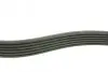 Фото Ремінь генератора MB 210 2.3D (6PK1885) AUTOTECHTEILE (9061885) зображення 2