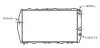 Радіатор, система охолодження двигуна AI2019