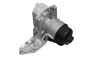 Прокладка радіатора масляного Ford Transit 2.4TDCi 06 AVA COOLING (FD3669H) зображення 1