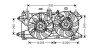 AVA FIAT Вентилятор радіатора Doblo 1.3d/1.9JTD 05- AVA COOLING FT7569 (фото 1)