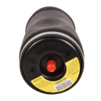 Фото Пружина заднього амортизатора Bapmic (BACB12575001) зображення 1