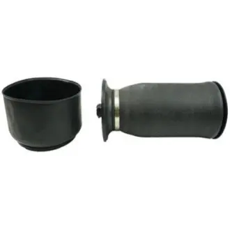 Фото Пневмопідвіска Bapmic (BACB12575011) зображення 1