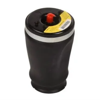 Фото Пневмо подушка Bapmic (BF0321290005) зображення 1