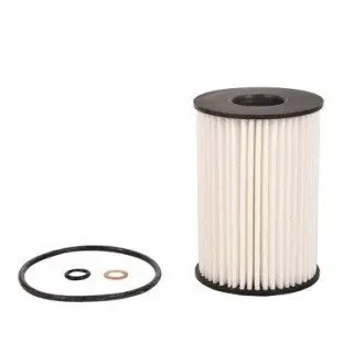 Масляний фільтр Bapmic BF0423470018 Купити в Україні