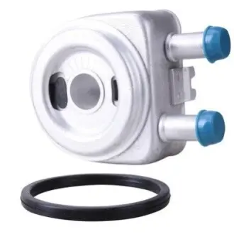 Масляний радіатор Bapmic BF0426490002 Купити в Україні