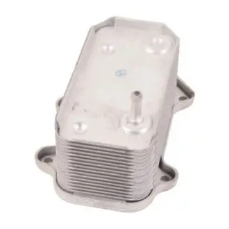 Масляний радіатор Bapmic BF0426490091 Купити в Україні