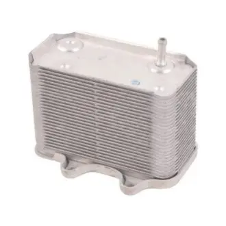 Масляний радіатор Bapmic BF0426490092 Купити в Україні