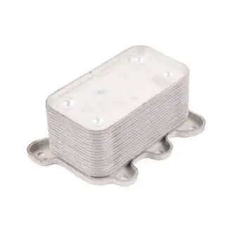 Масляний радіатор Bapmic BF0426490097 Купити в Україні