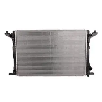 Радіатор охолодження двигуна Bapmic BF0426790169 Купити в Україні